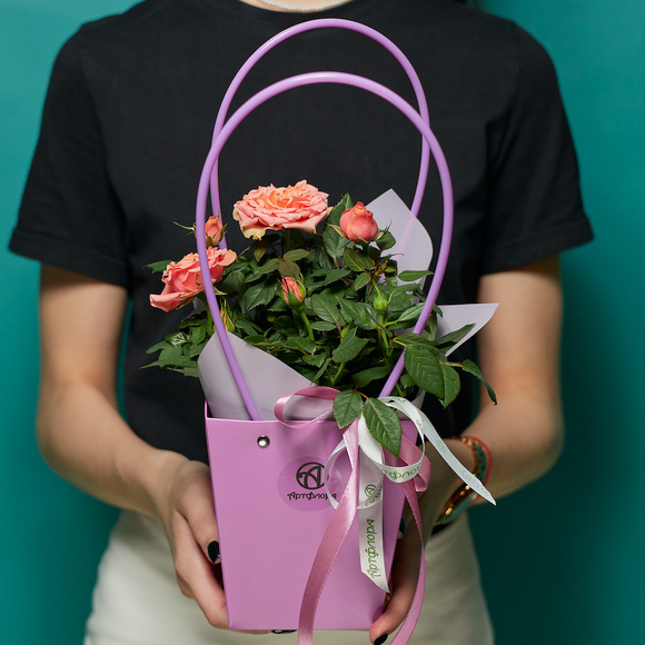 Роза Кордана в цветочной сумочке оранжевая (персиковая)