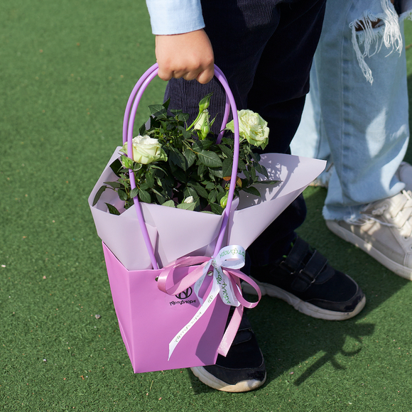 Роза Кордана в цветочной сумочке белая