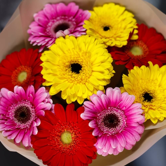 Букет из 9 гербер микс