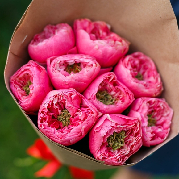 Букет из 9 пионовидных роз Вувузела Пинк 50 см