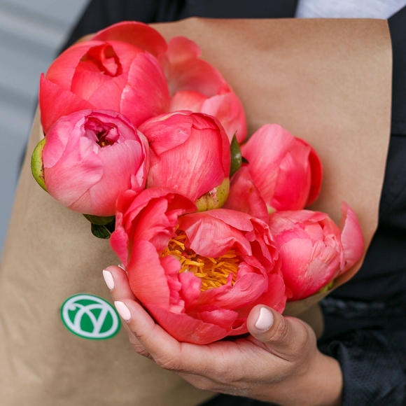 Букет из 7 коралловых пионов (Голландия)