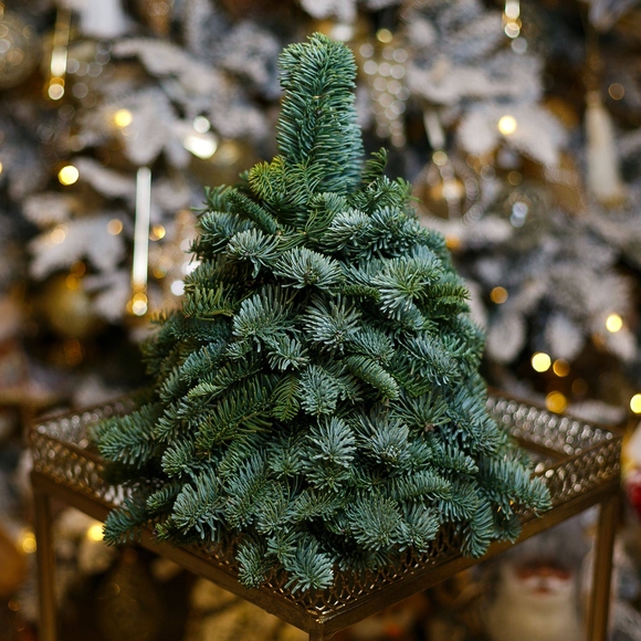 Новогодняя елочка без украшений - M