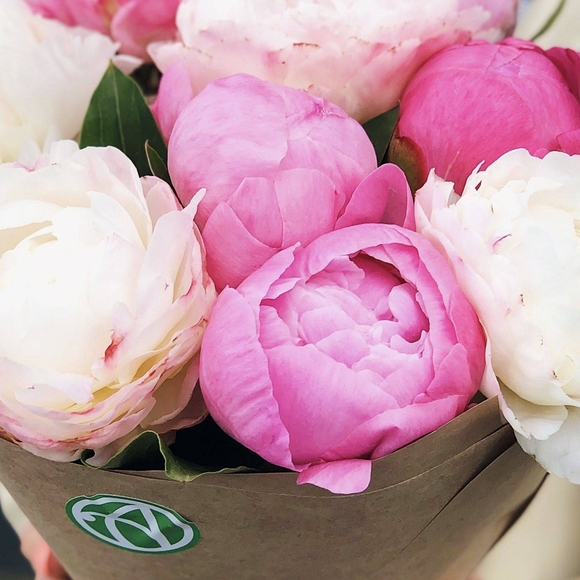Букет из 9 пионов микс (Голландия)