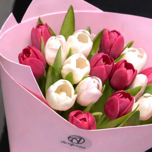 Букет из 15 белых и малиновых тюльпанов (Голландия) в фоамиране