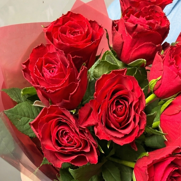 Букет из красных роз Кения в двойной корейской кальке