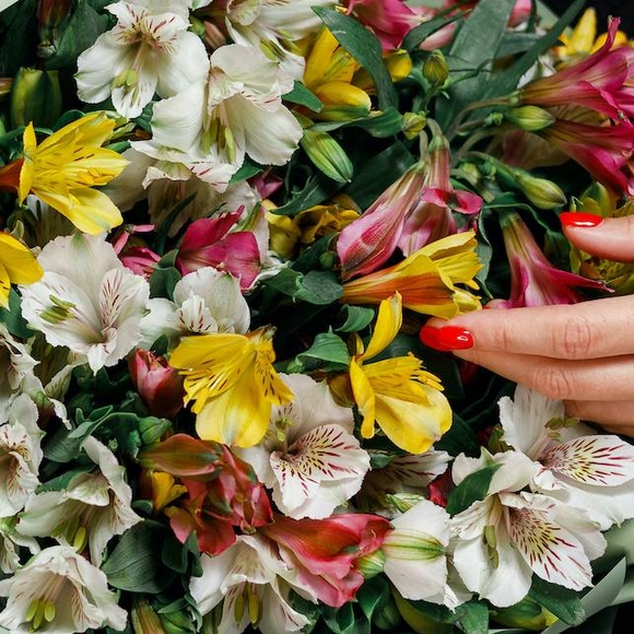 Альстромерия микс поштучно