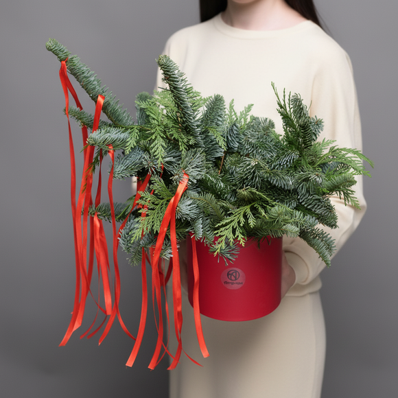 Зимняя шляпная коробка с красными лентами