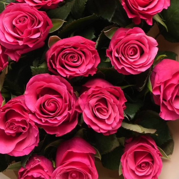 Букет из 15 малиновых роз Кения (50 см) в корейской упаковке