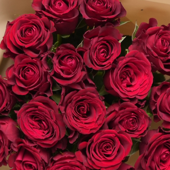 Букет из 19 красных роз Кения (50 см) в корейской упаковке