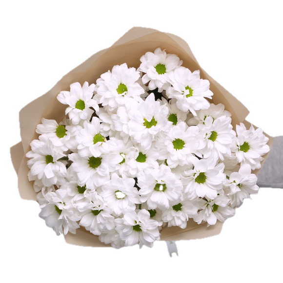 Букет из 5 белых кустовых хризантем ромашка (Бакарди) в корейской упаковке