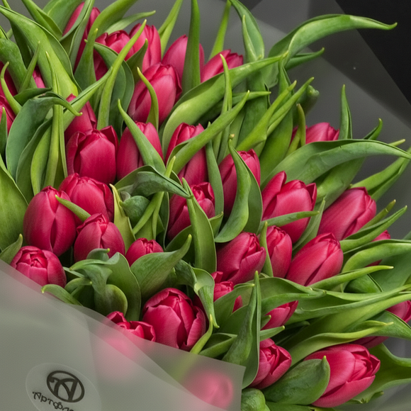 Букет из 51 малинового тюльпана (Голландия) в корейской упаковке
