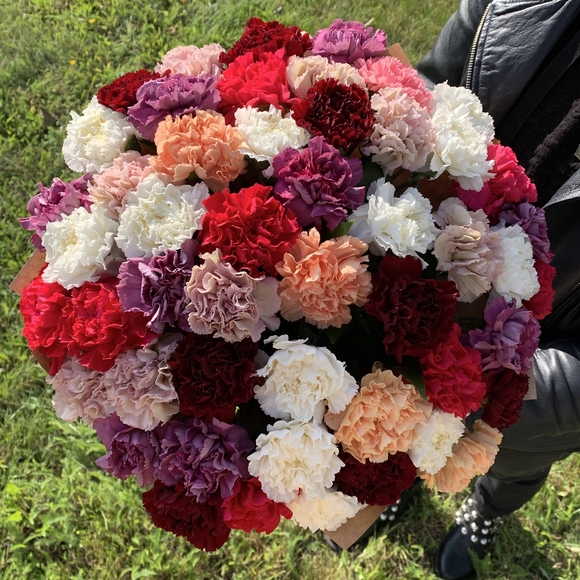 Букет из 51 гвоздики  (диантусов) микс