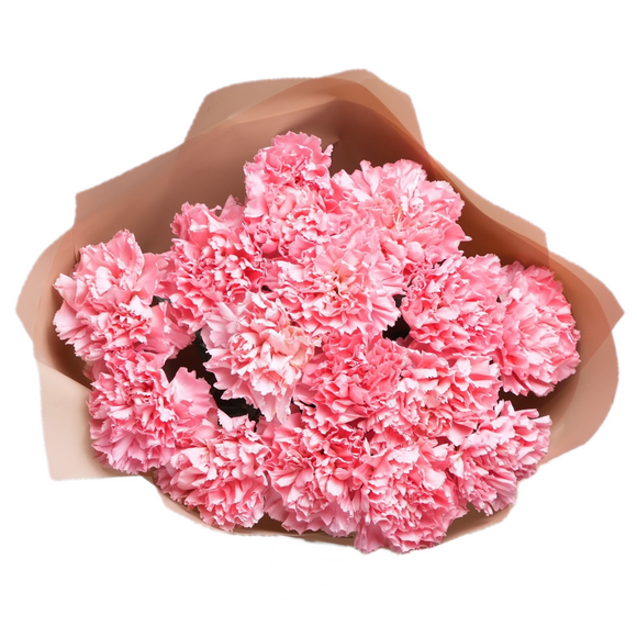 Букет из 15 розовых диантусов в корейской упаковке