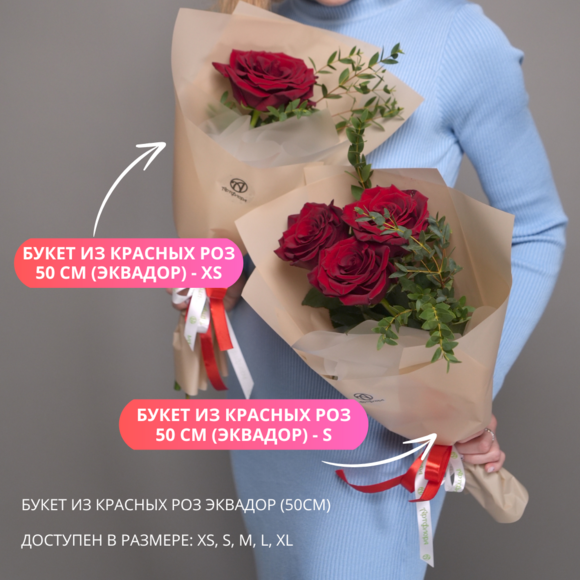 Букет из красной розы 50см (Эквадор) - XS в корейской упаковке
