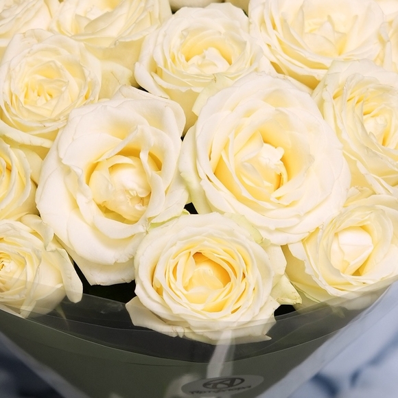 Букет из 19 белых роз 50 см (Россия) в двойной корейской упаковке