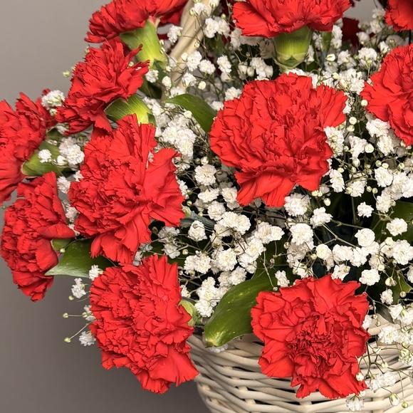 Корзина с красной гвоздикой и гипсофилой