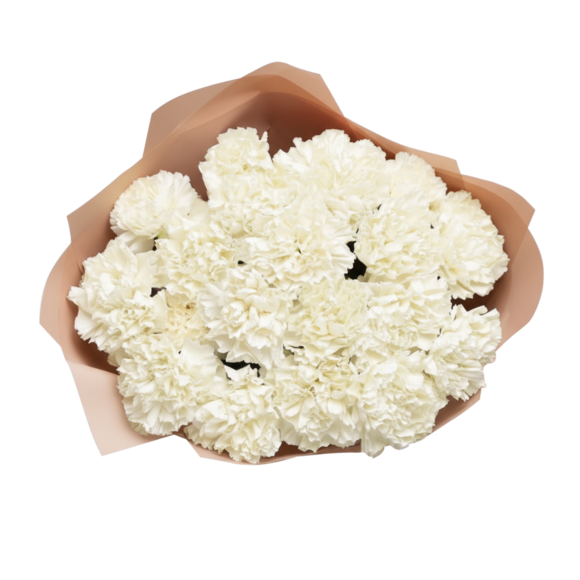 Букет из 15 белых диантусов в корейской упаковке