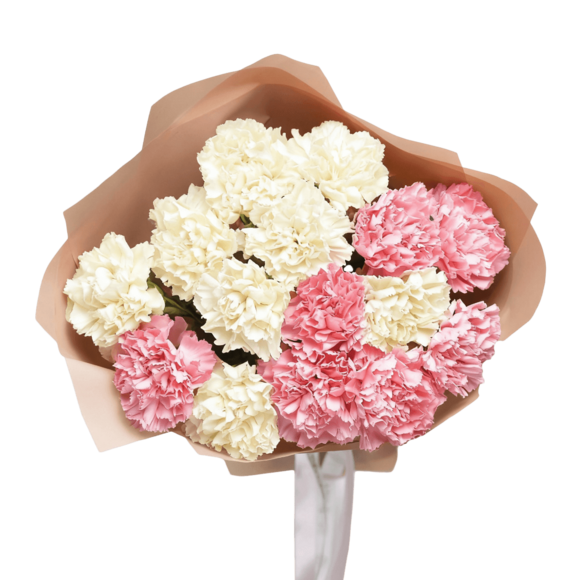 Букет из диантусов нежный микс в корейской упаковке