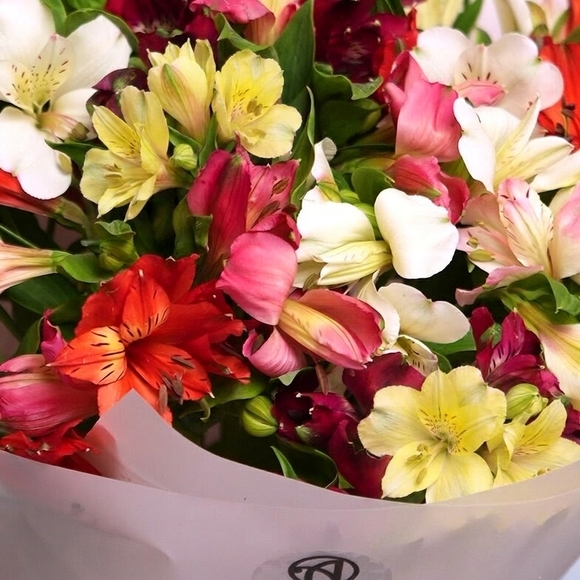 Букет из 11 альстромерий микс в корейской светлой упаковке