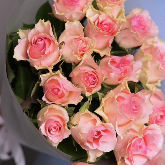 Букет из 15 светло-розовых роз 50 см (Кения) в корейской матовой упаковке