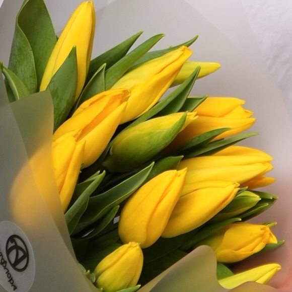 Букет из 15 желтых тюльпанов (Голландия) в корейской матовой упаковке