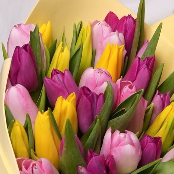 Букет из 51 тюльпана микс яркий (Голландия) в фоамиране