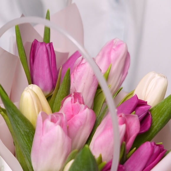 Тюльпаны микс в сумочке