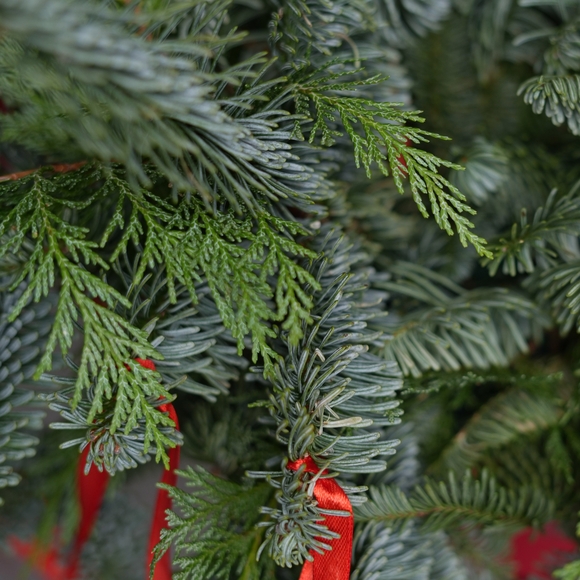 Зимняя шляпная коробка с красными лентами
