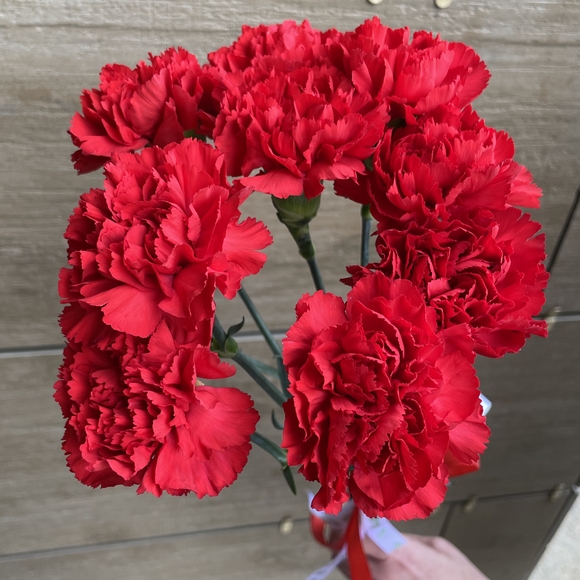 Букет из 9 красных гвоздик