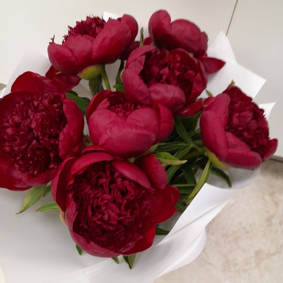 Букет из 7 бордовых пионов (Россия)