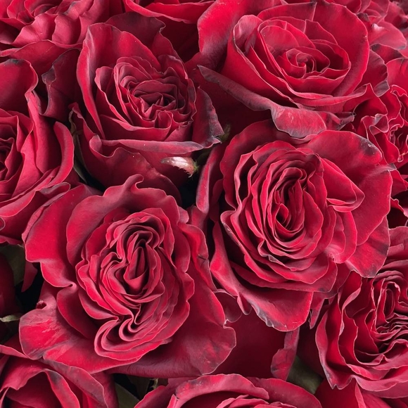 25 красных роз (Россия) в корзине