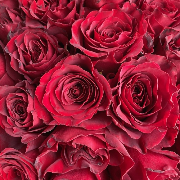 51 красная роза (Россия) в корзине