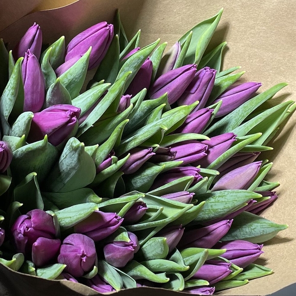 Охапка тюльпанов фиолетовые (Голландия)