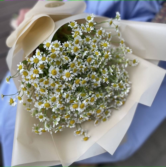 Букет из 9 кустовых ромашек (матрикарий)