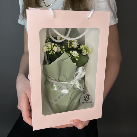 Каланхоэ белое в горшке