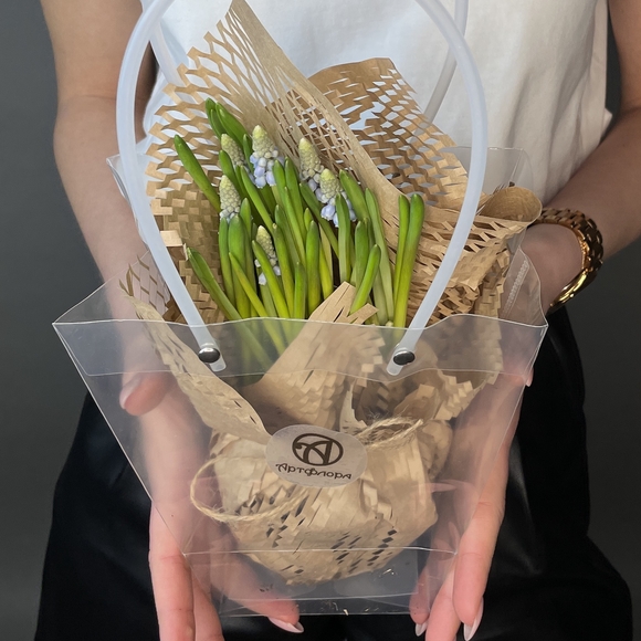 Мускари в горшке