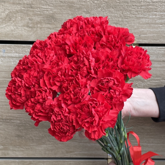 Букет из 25 красных гвоздик