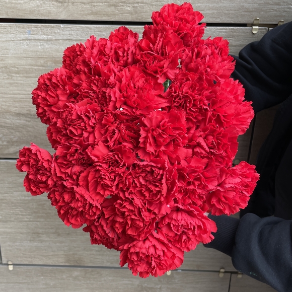 Букет из 25 красных гвоздик