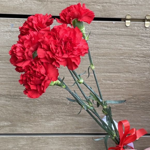 Букет из 5 красных гвоздик