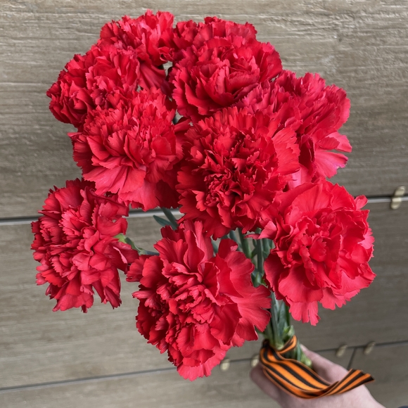 Букет из 10 красных гвоздик с георгиевской лентой