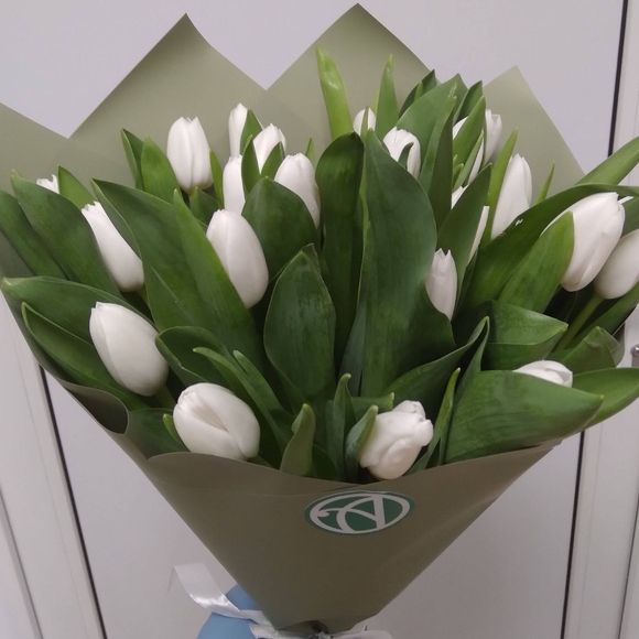 Букет из 25 белых тюльпанов