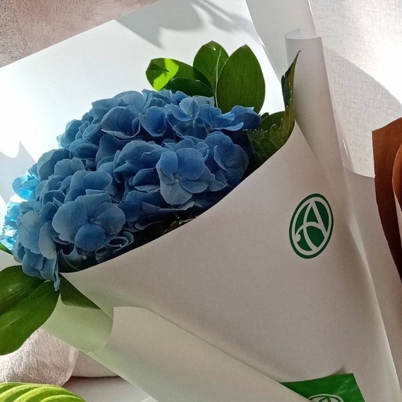 Букет из 1 голубой гортензии
