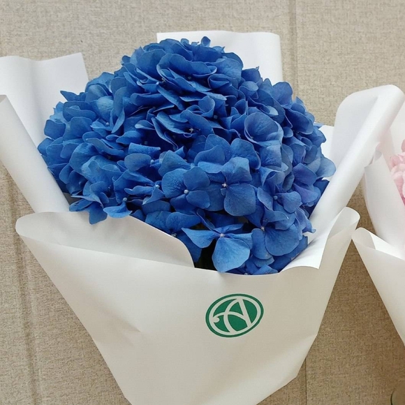 Букет из 1 голубой гортензии
