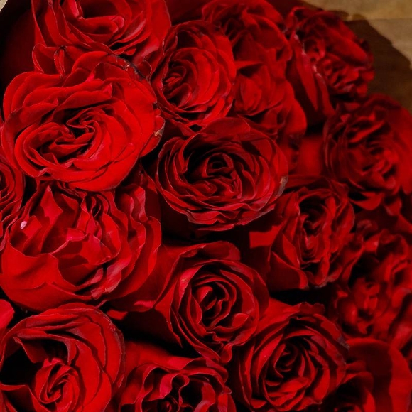Букет из 25 красных роз 50 см (РФ)