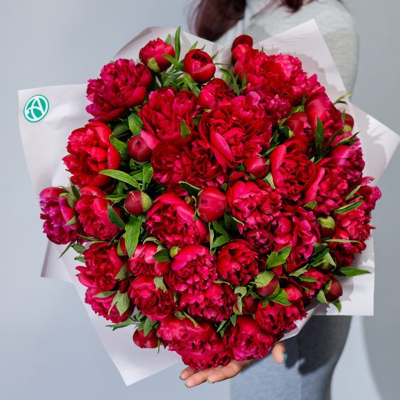 Букет из 51 бордового пиона (Россия)