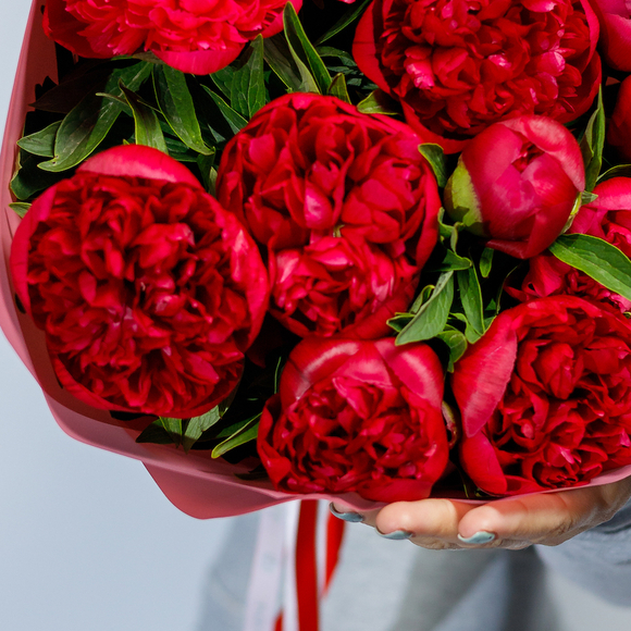 Букет из 11 бордовых пионов (Россия)