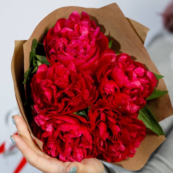 Букет из 5 бордовых пионов (Россия)