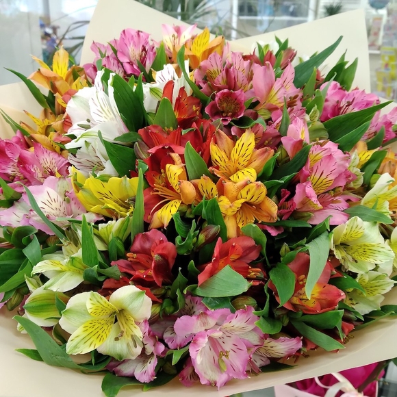 Букет из 25 альстромерий микс