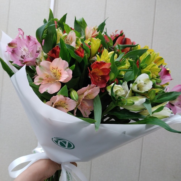 Букет из 15 Альстромерий микс