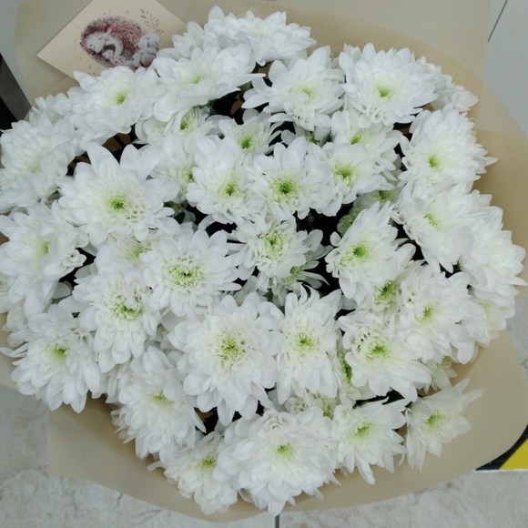 Букет из 9 белых кустовых хризантем